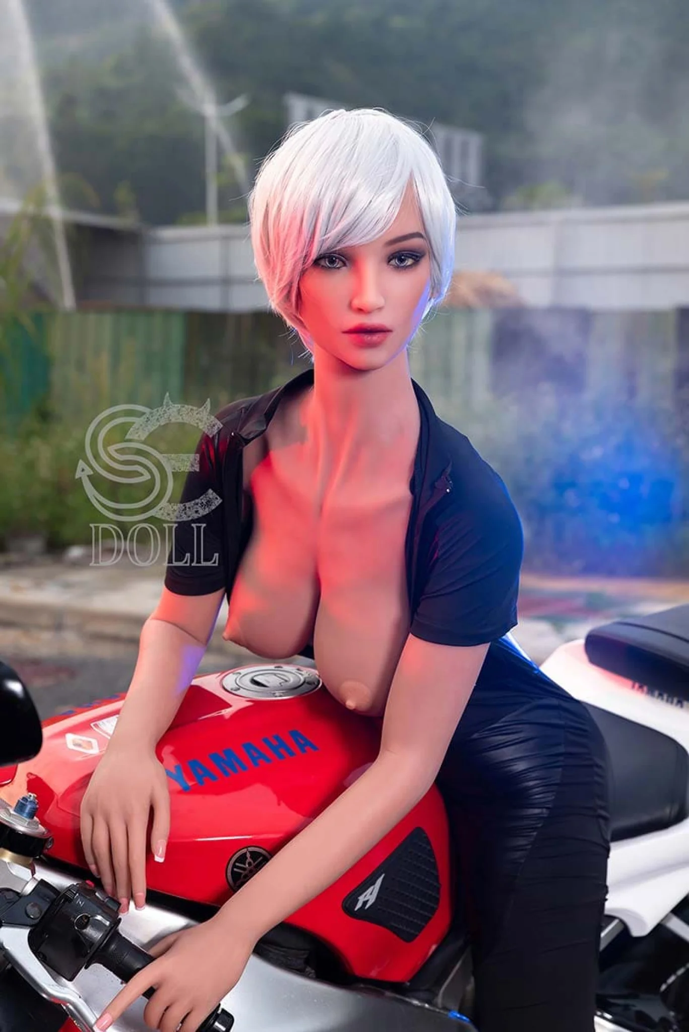 Thumbnail 29