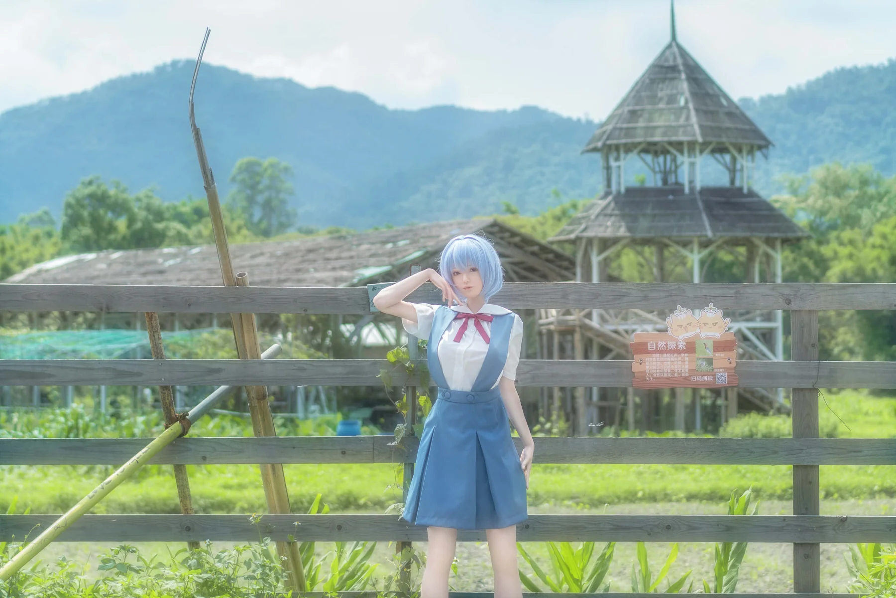 Thumbnail 12